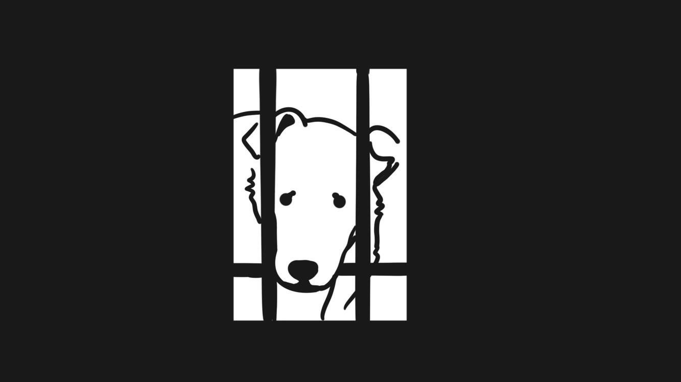 If you found out your pet spent one day in these conditions, it’d break your heart.