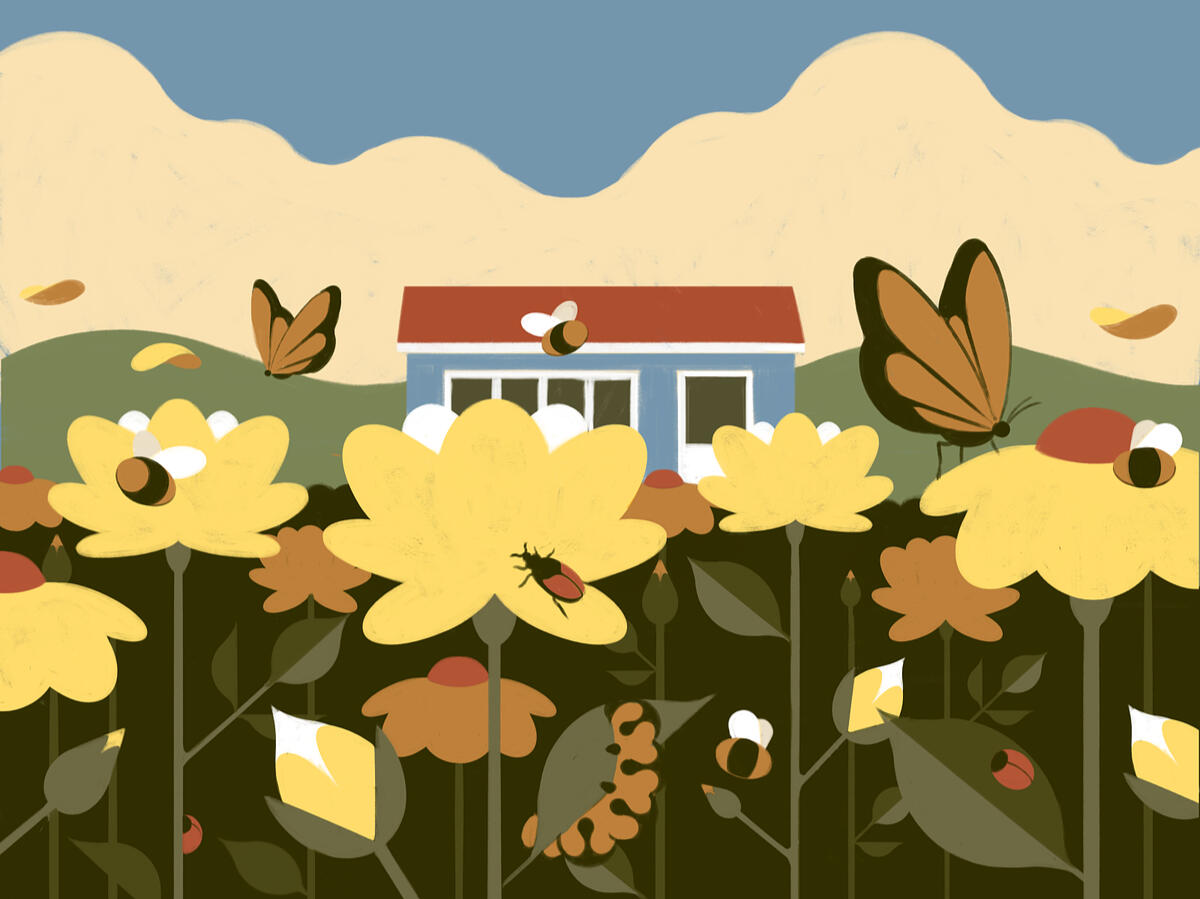 Summer in the Countryside, editorial illustration (personal work)